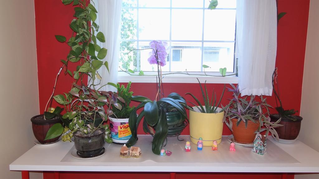 Brother Li Homestay YYC Екстериор снимка